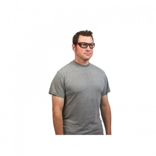 Очки защитные PERFORMANCE MILWAUKEE, с покрытием AS/AF (прозрачные)